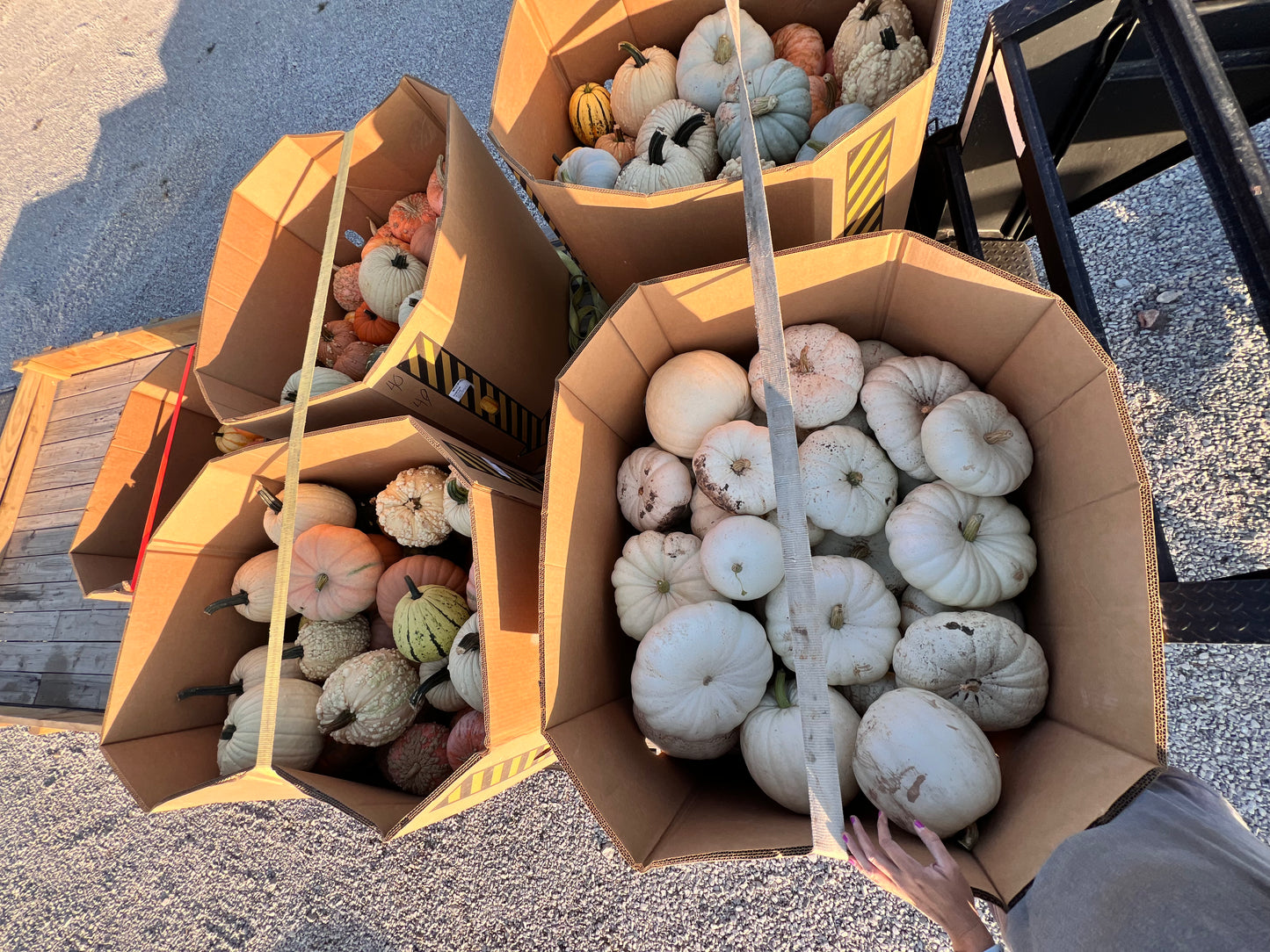 Wholesale Delivery Fee