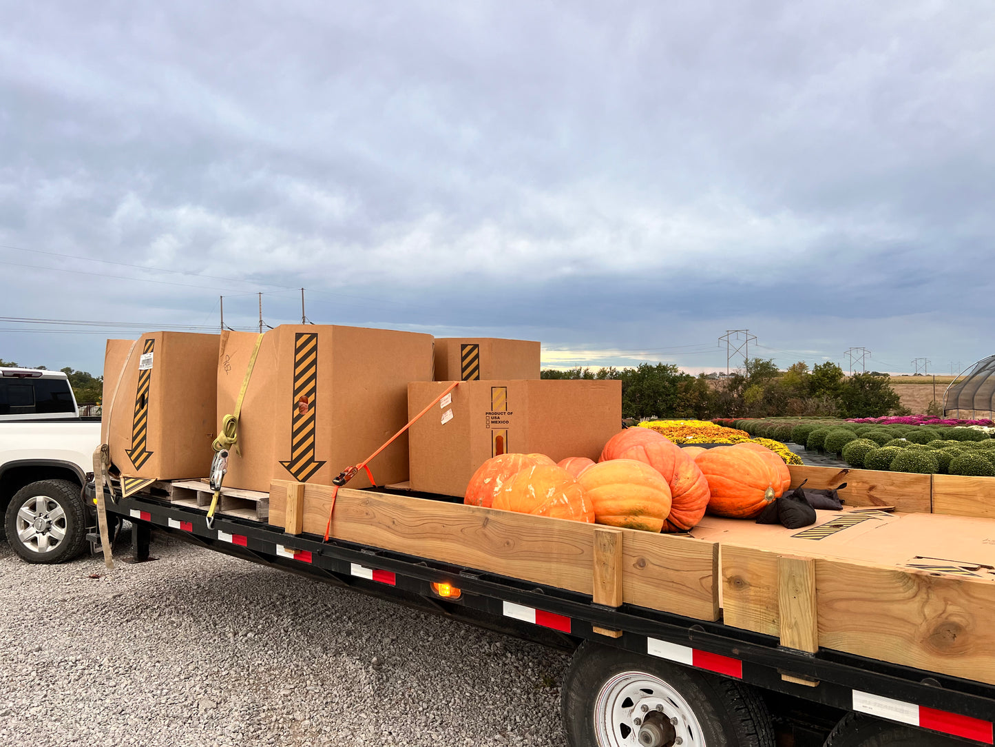 Wholesale Delivery Fee