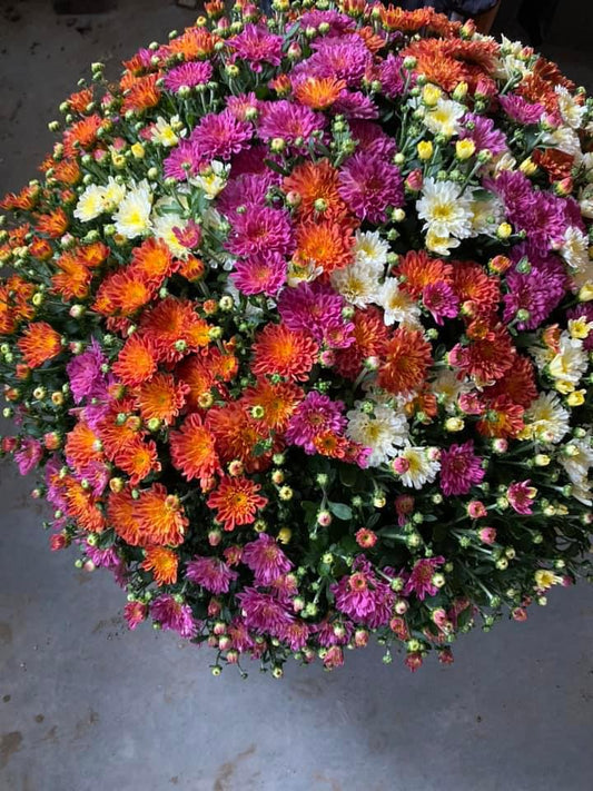 Combo Confetti Pisces Mum