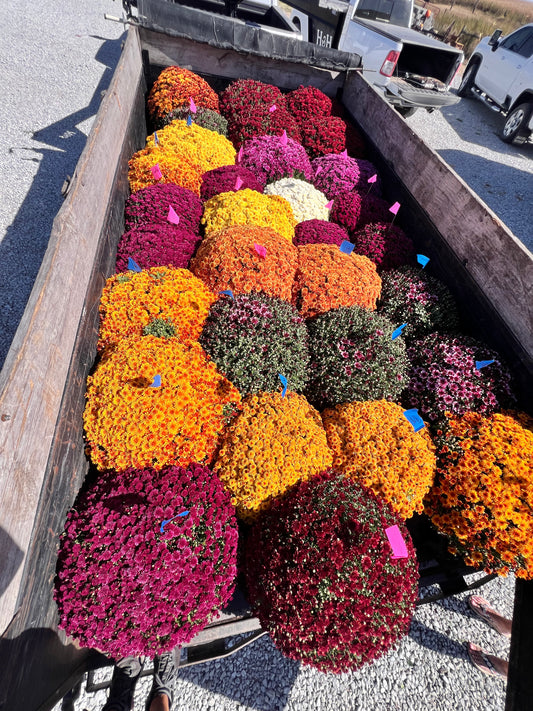 Wholesale Delivery Fee