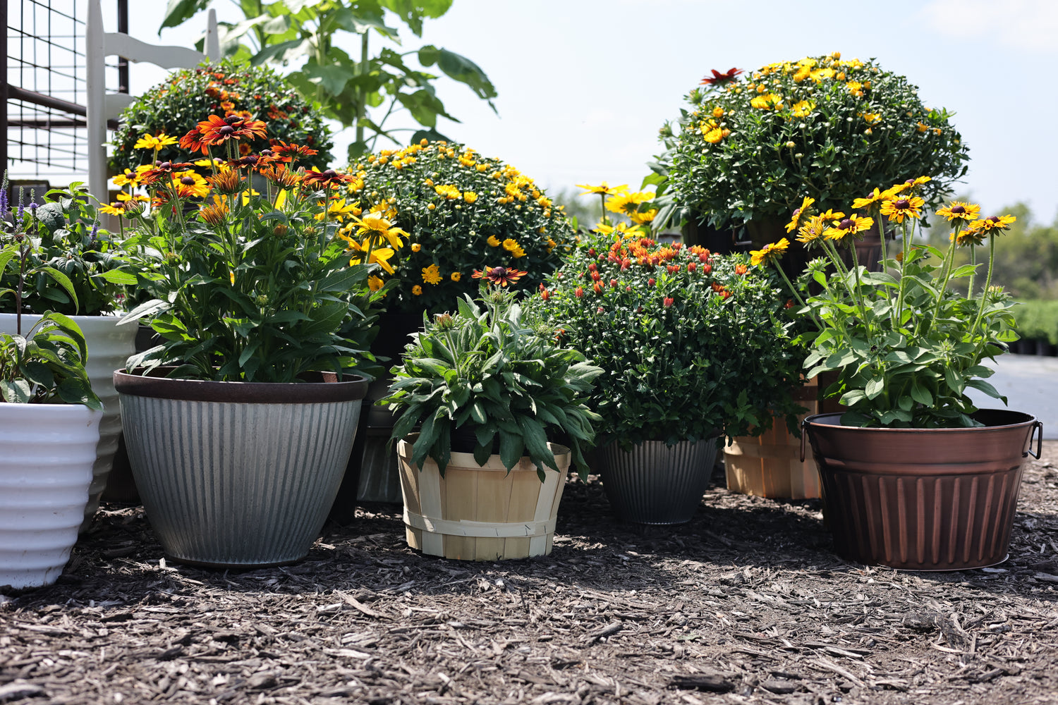 Baskets, Pots, & Planters