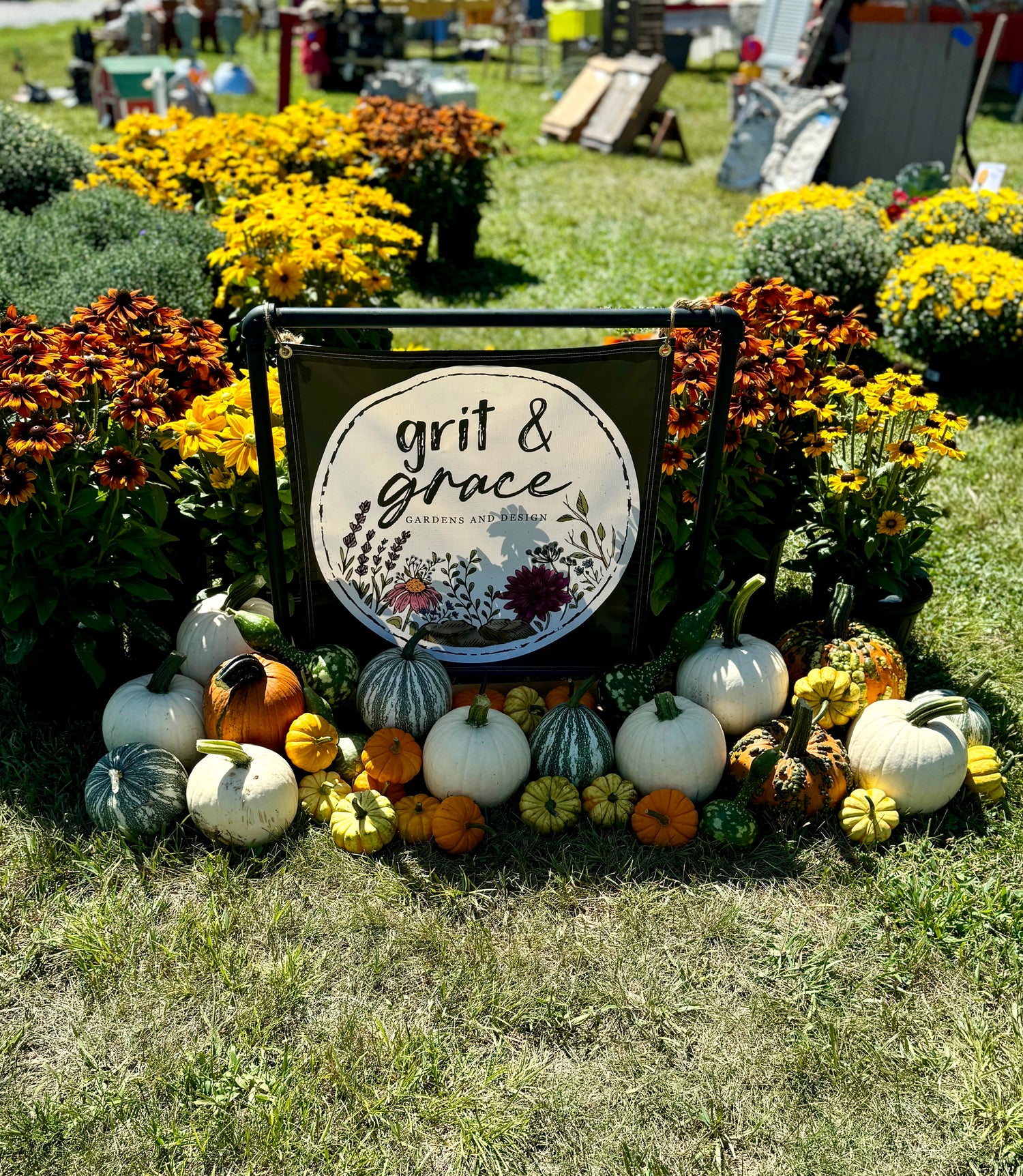 Pumpkins / Squash / Gourds